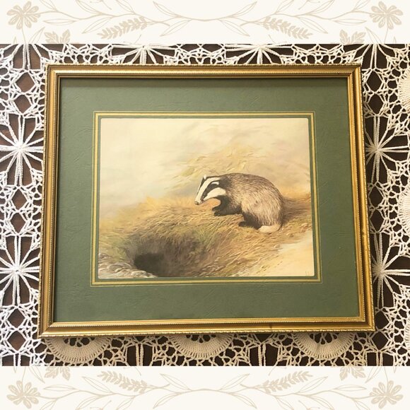 Vintage Mike Nance Wildlife Badger Print - Picture 1 of 4